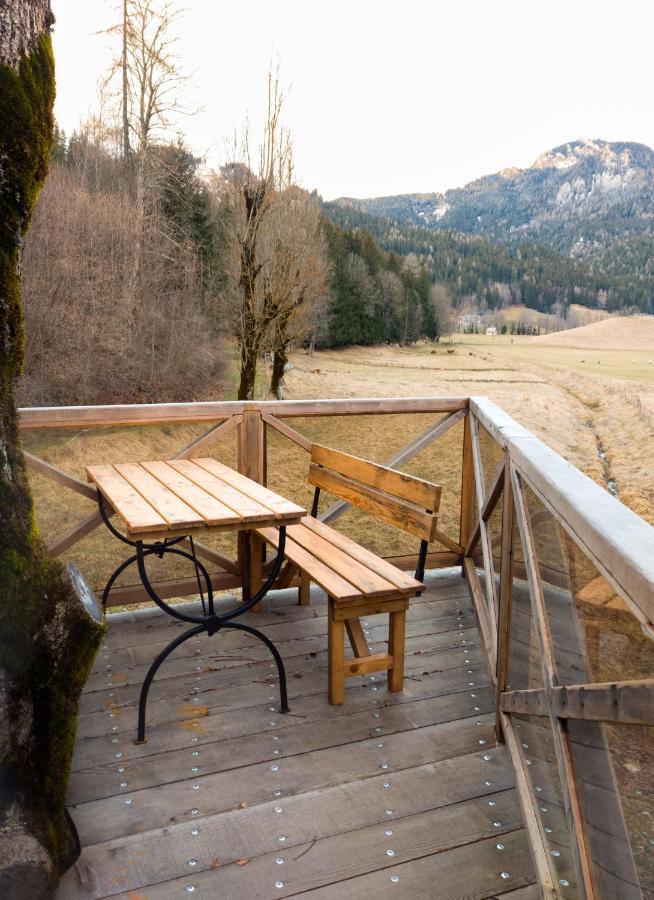 Camping & Glamping Jezersko Ex Cvet Gora Ngoại thất bức ảnh